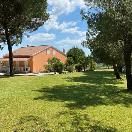 Quinta Do Alto Dos Pinheiros Villa São João da Ribeira Екстериор снимка