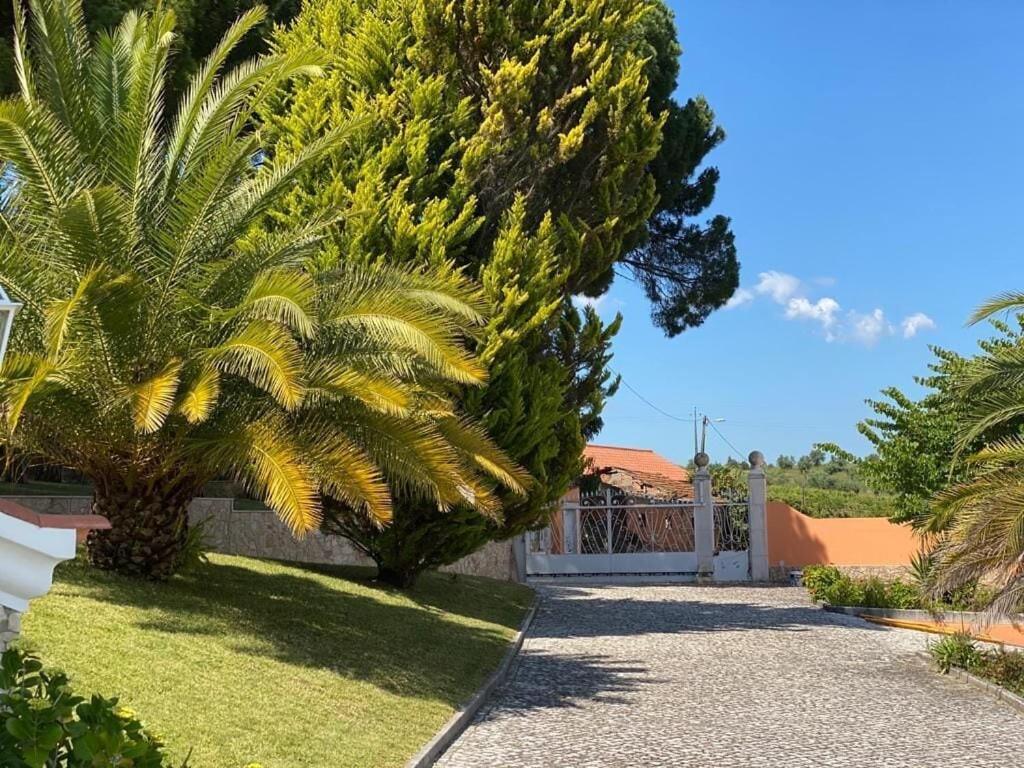 Quinta Do Alto Dos Pinheiros Villa São João da Ribeira Екстериор снимка
