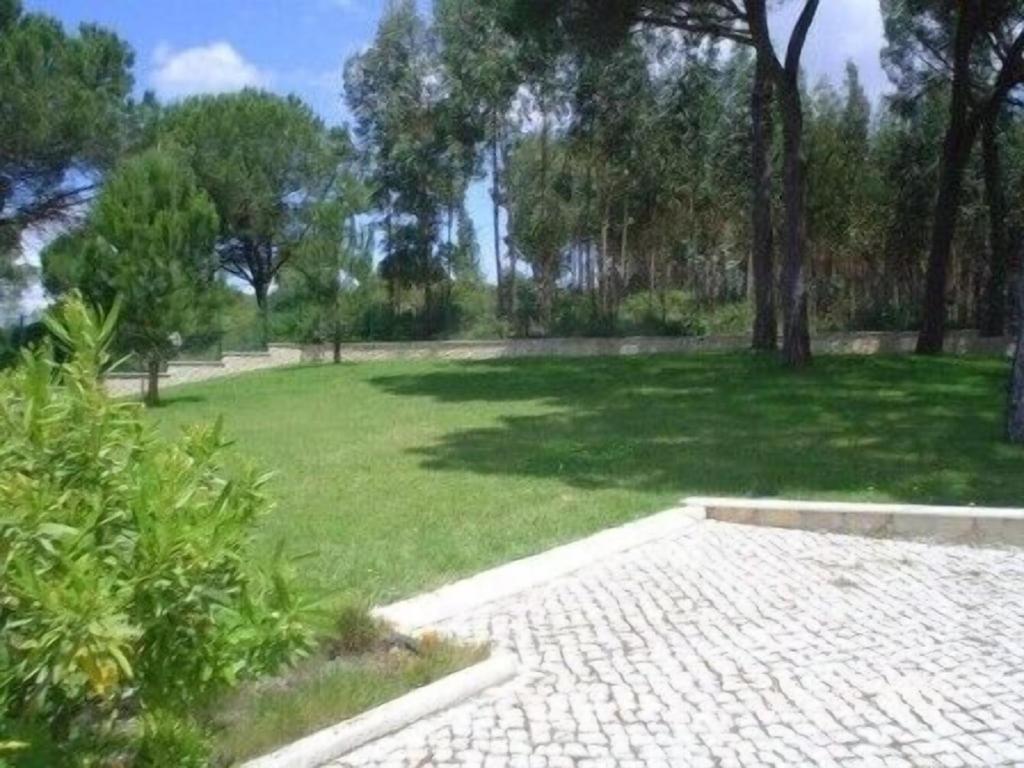 Quinta Do Alto Dos Pinheiros Villa São João da Ribeira Екстериор снимка