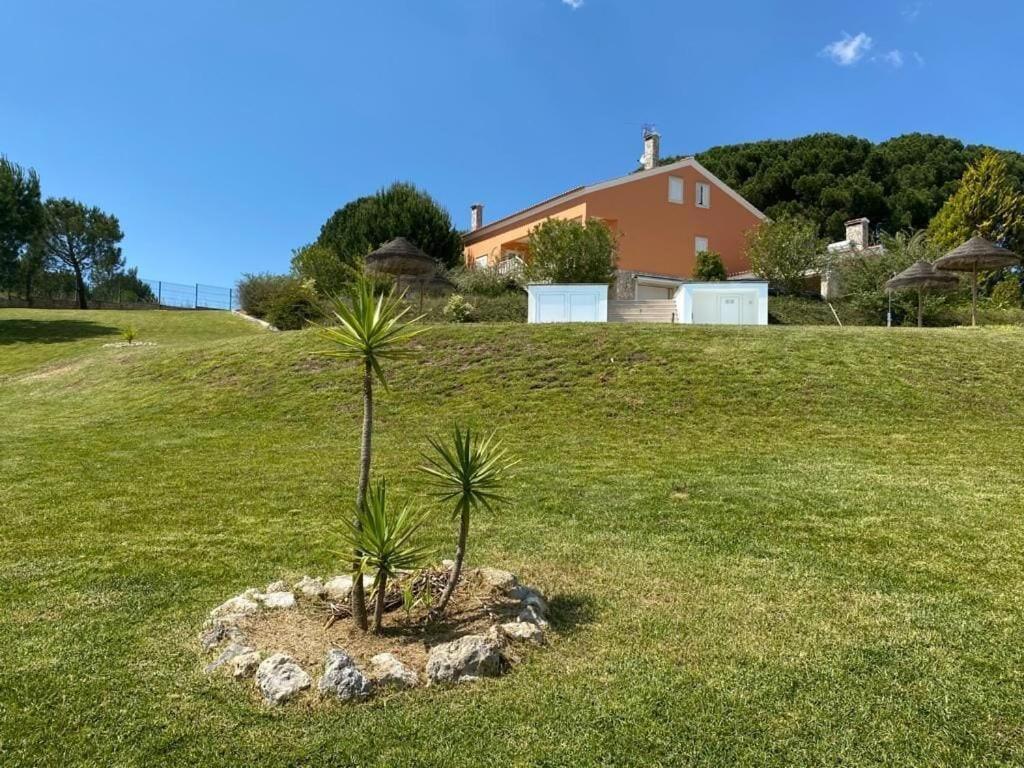 Quinta Do Alto Dos Pinheiros Villa São João da Ribeira Екстериор снимка